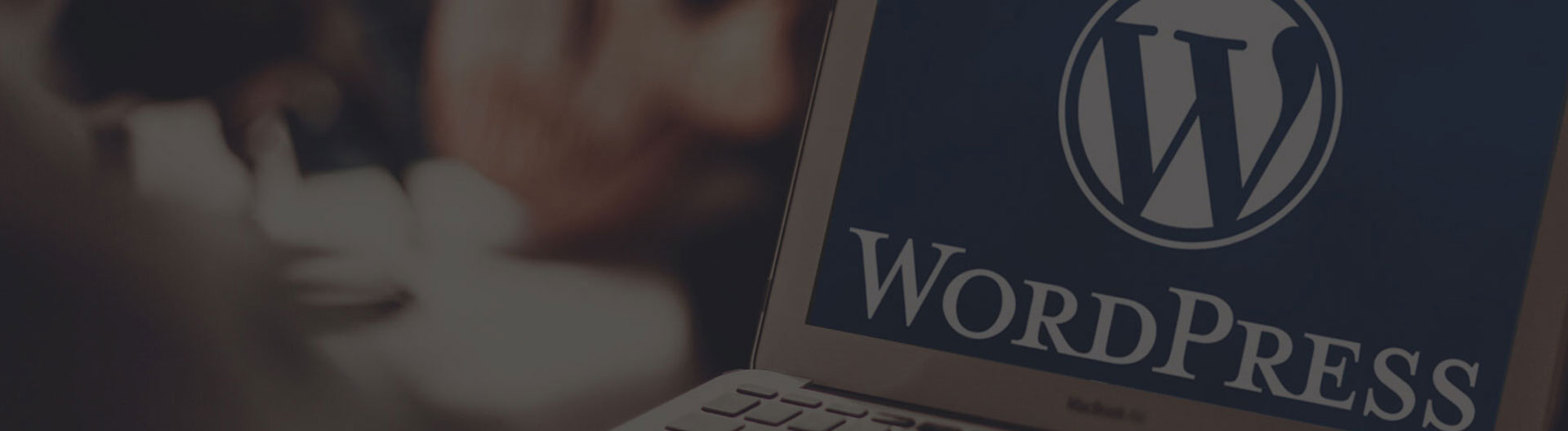 Studio 239 Design WordPress Websites and Blogs